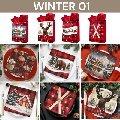 Image Hiver 01